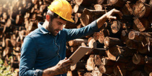 Soterra Employee Reviewing Safety Checklist at Logging Site